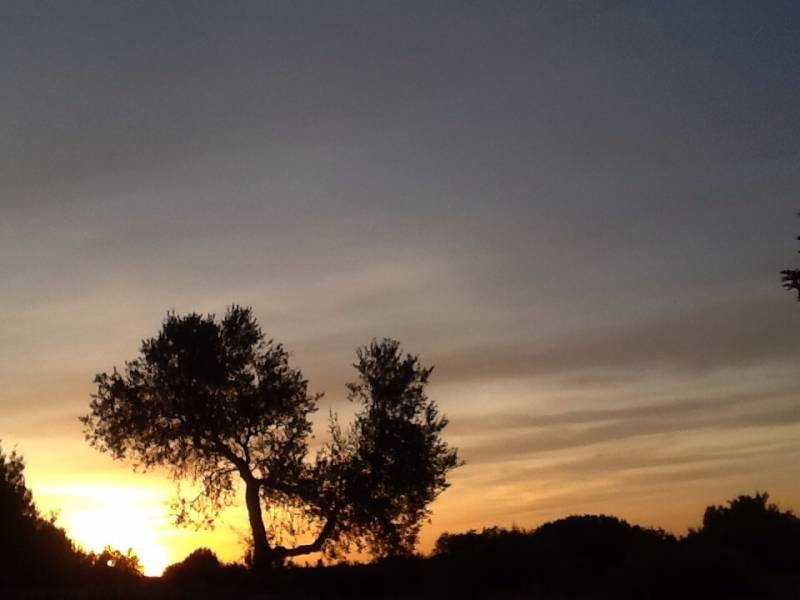 Alba a cisternino contrada madonna d'ibernia