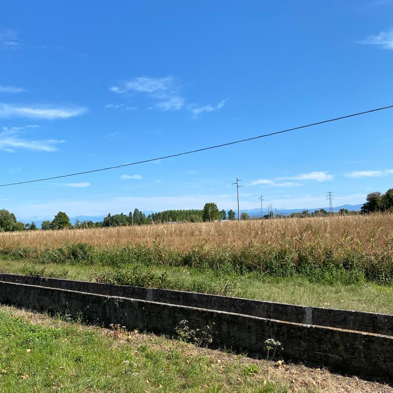 Fotosegnalazione di Aquileia