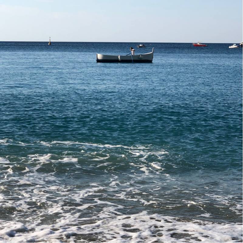 Fotosegnalazione di Monterosso al mare