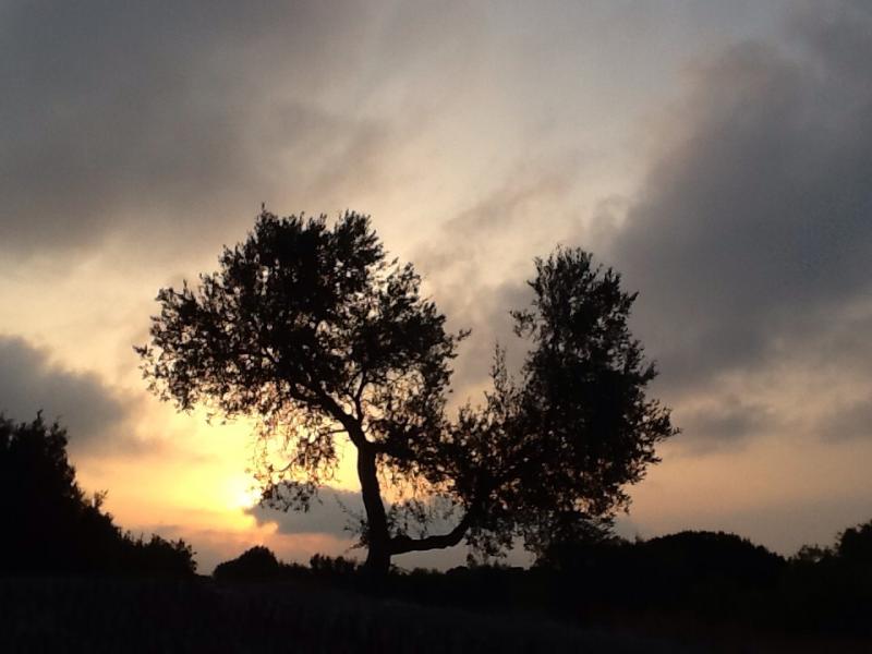 Alba a cisternino contrada madonna d'ibernia