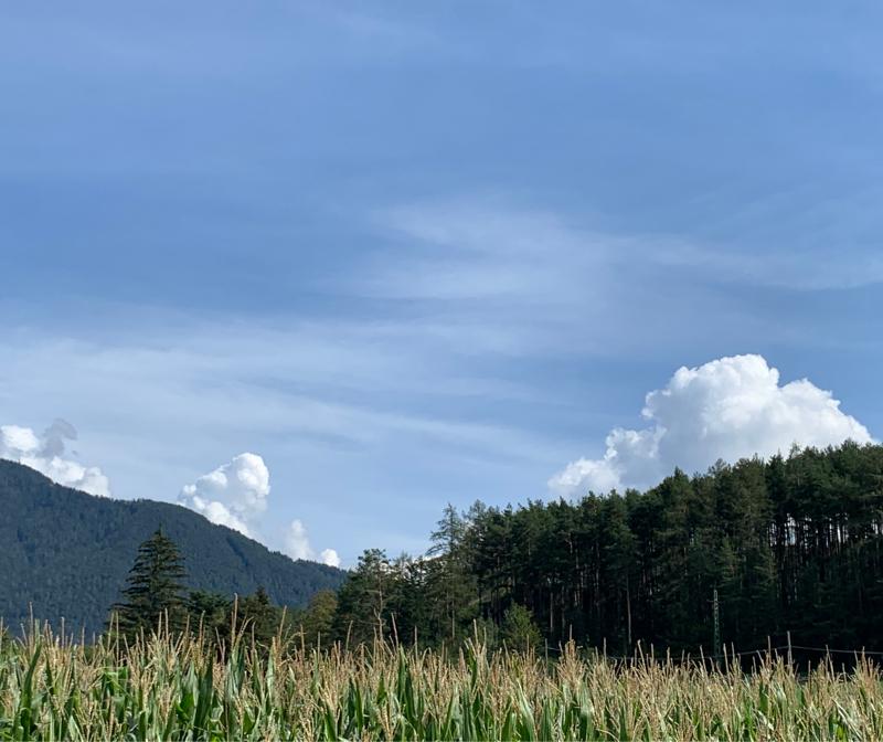 Fotosegnalazione di Naz sciaves