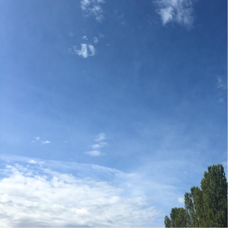 Fotosegnalazione di Castelfranco emilia