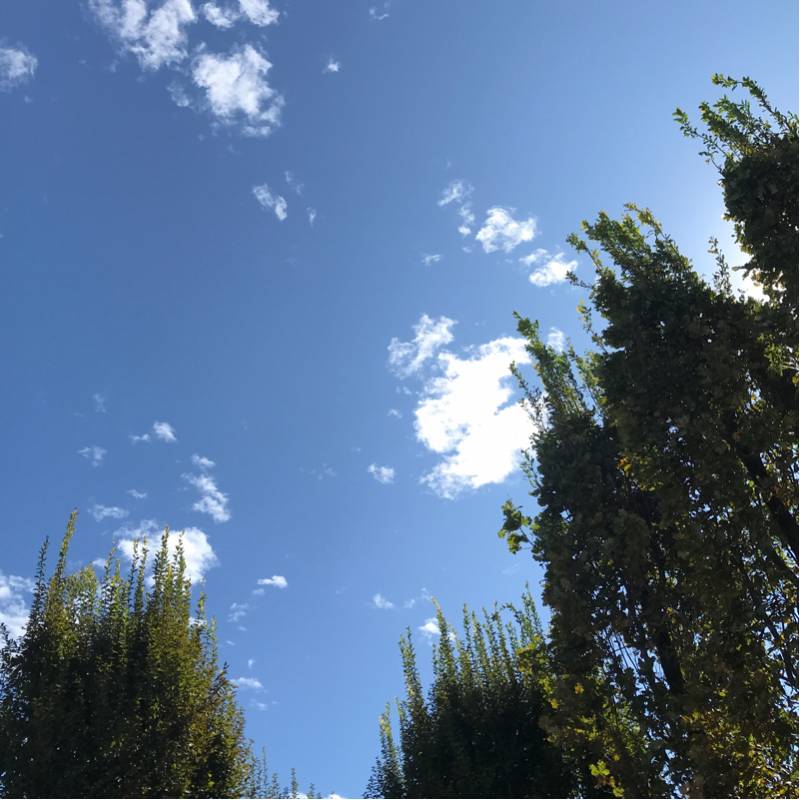 Fotosegnalazione di Correggio