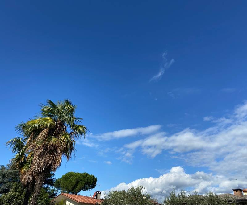 Fotosegnalazione di Bassano del grappa