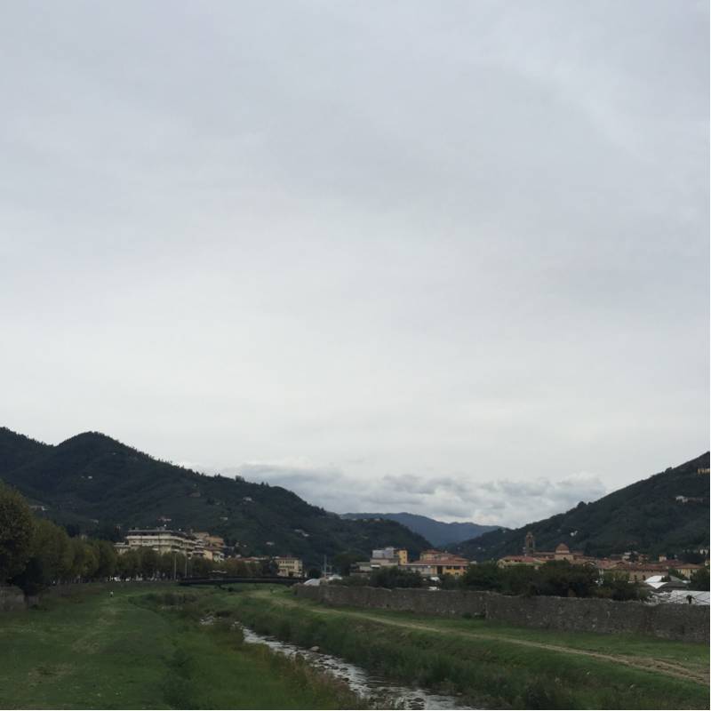 Fotosegnalazione di Pescia
