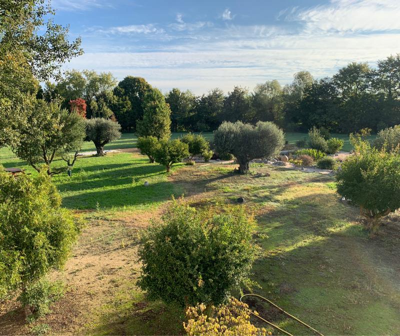 Una bella giornata soleggiata