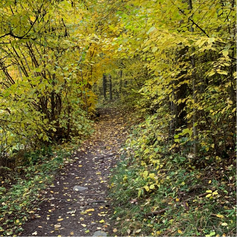 Fotosegnalazione di Naz sciaves