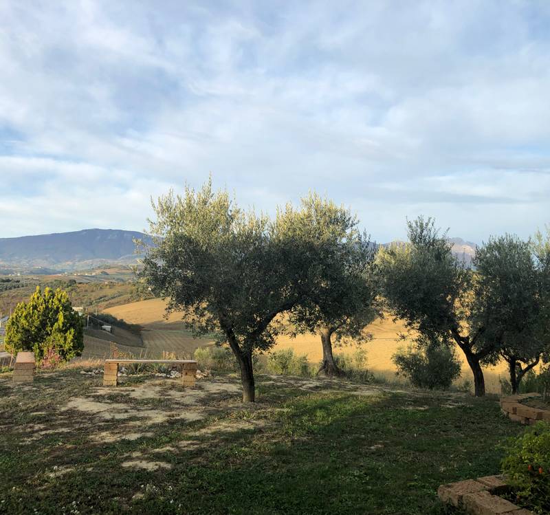 Fotosegnalazione di Pianella