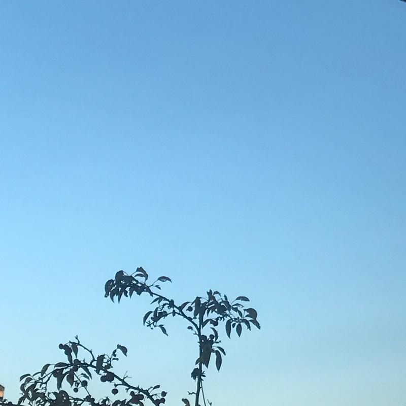 Nel blu dipinto di nulla e' solo blu