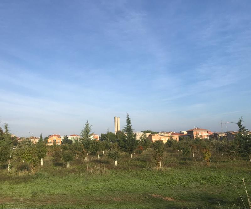 Fotosegnalazione di Senigallia