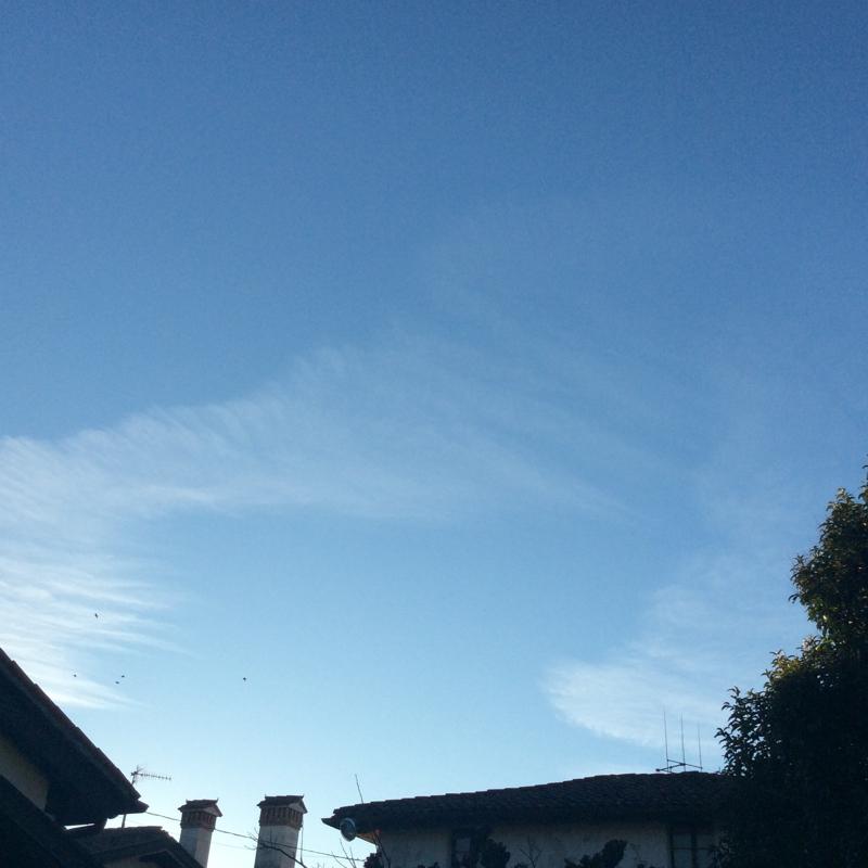Fotosegnalazione di Gorizia