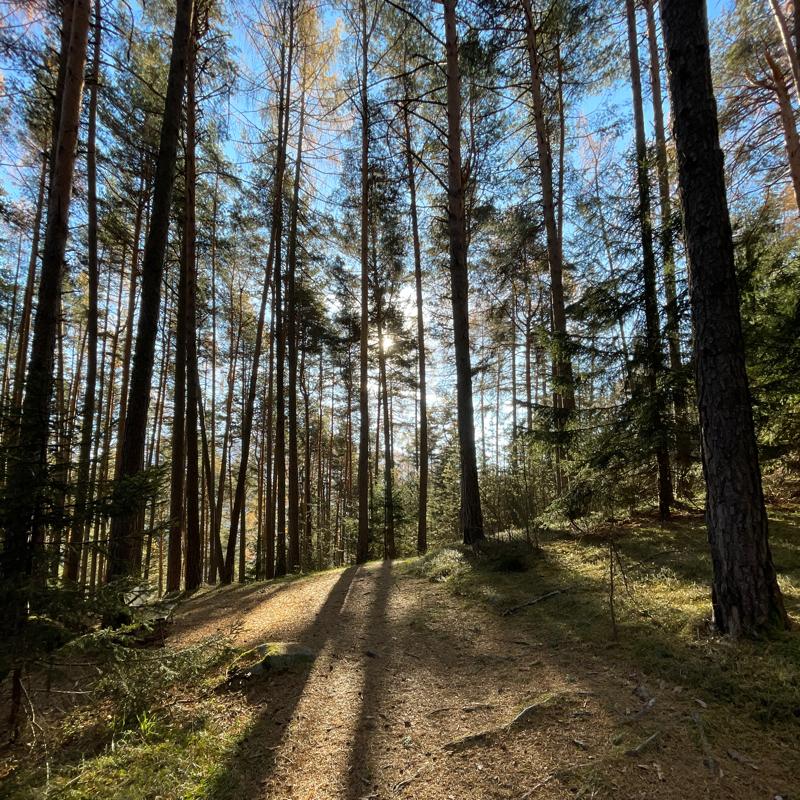 Fotosegnalazione di Naz sciaves