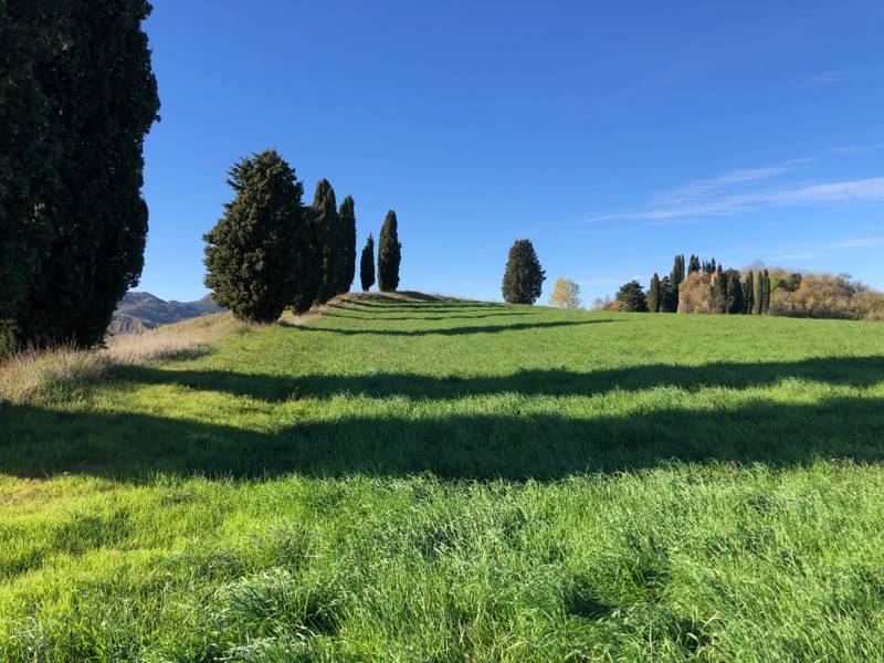Fotosegnalazione di Riolo terme
