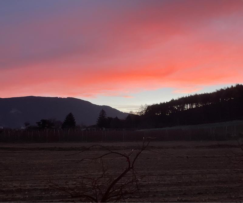 Fotosegnalazione di Naz sciaves