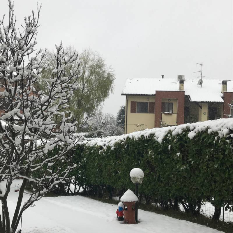 Fotosegnalazione di Mozzate
