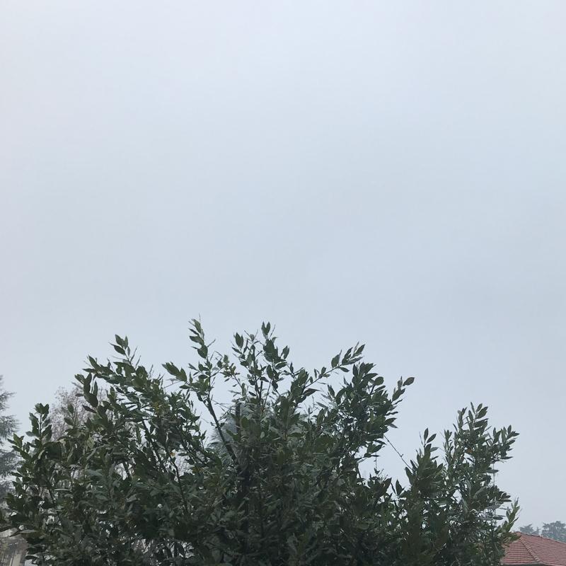 Fotosegnalazione di Garbagnate milanese