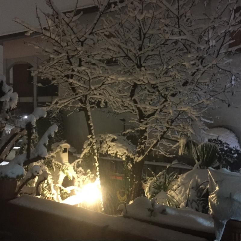 Fotosegnalazione di Seregno