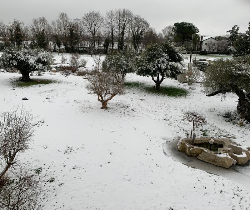 Fotosegnalazione di Mogliano veneto