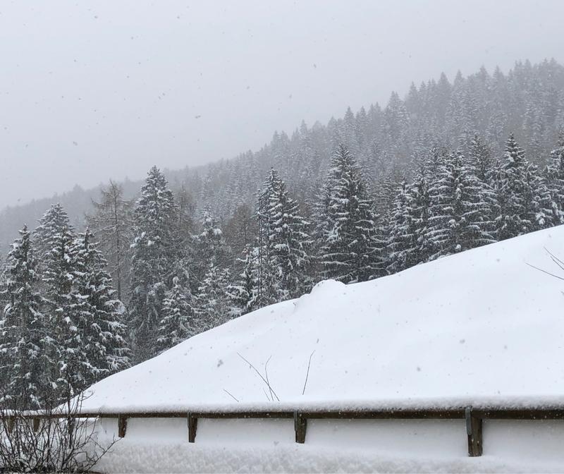 Nevicata dell 1 dicembre 2021 Cavedago