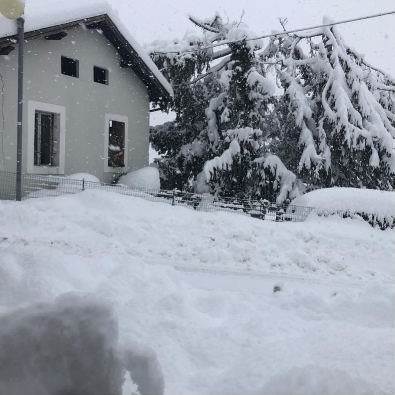 Fotosegnalazione di Pergine valsugana