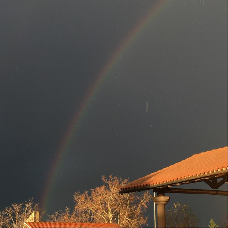 Fotosegnalazione di Tarquinia
