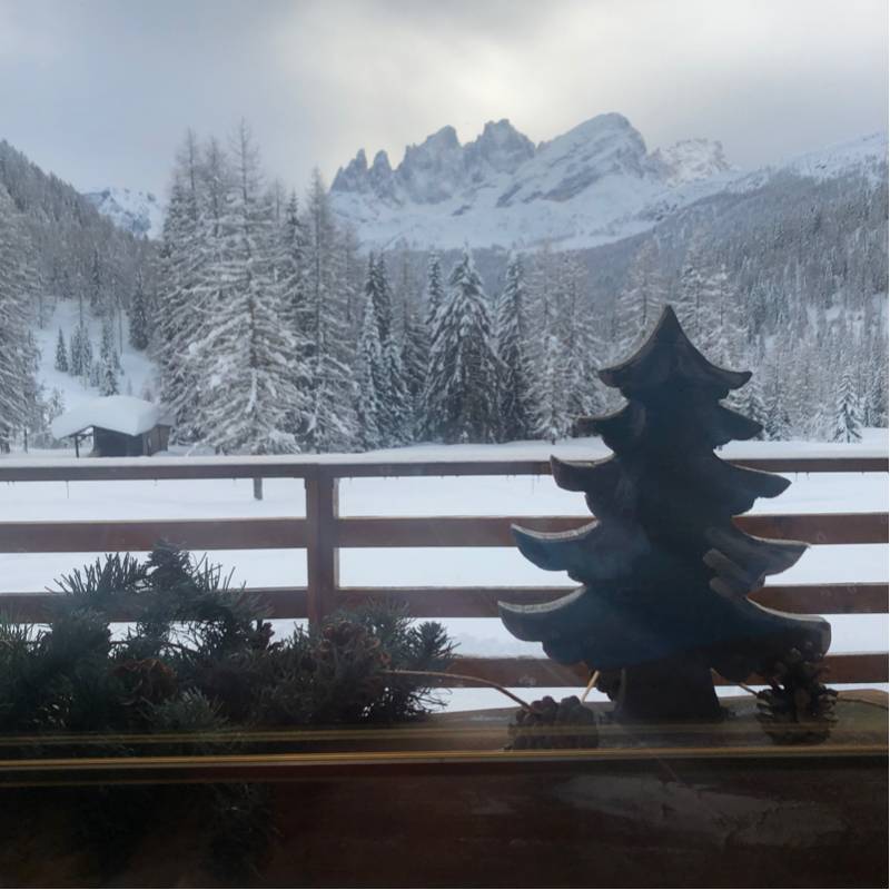 Dalla finestra del rifugio flora alpina nellattesa della riapertura