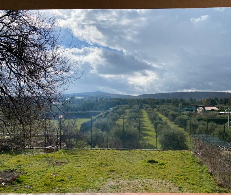 Fotosegnalazione di Castel del monte bt