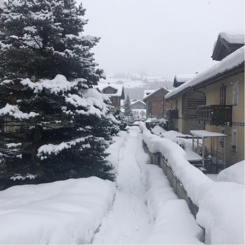 Nevica non piove come da vs previsioni a Bormio