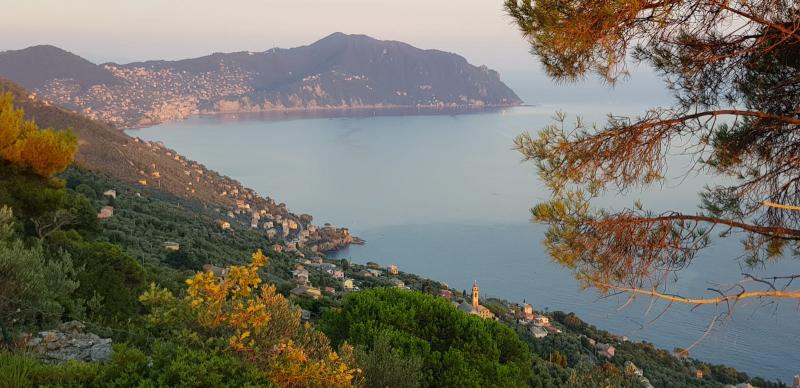 Il golfo paradiso da pieve ligure