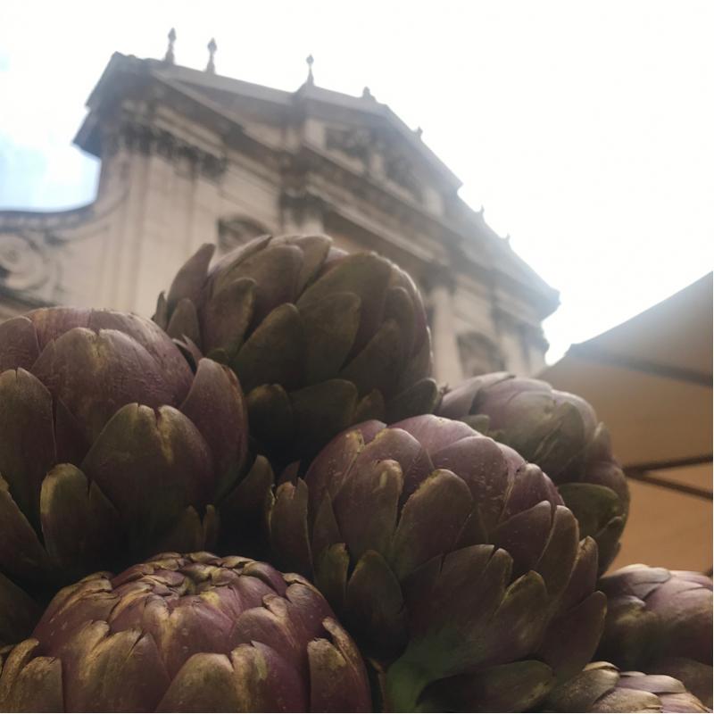 Fotosegnalazione di Roma centro storico