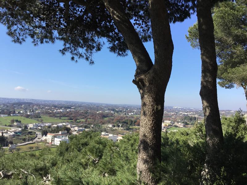 Valle ditria a cisternino