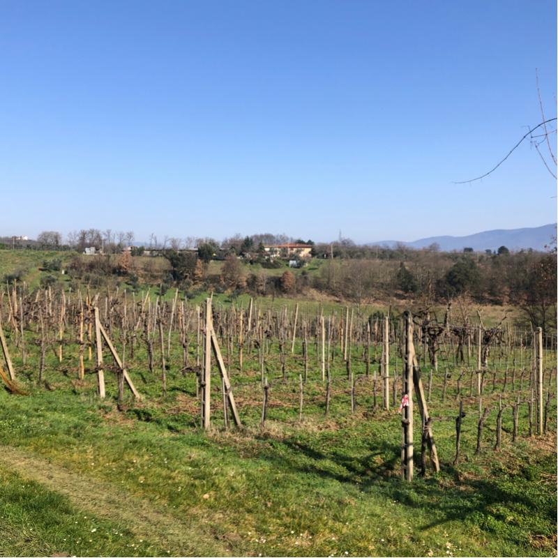 Fotosegnalazione di Figline e incisa valdarno