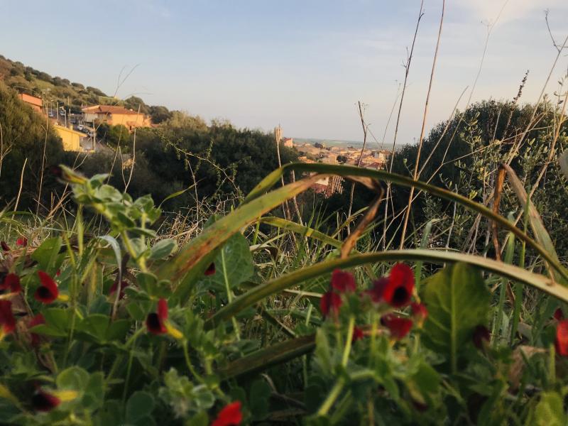 Panorama di giannionali