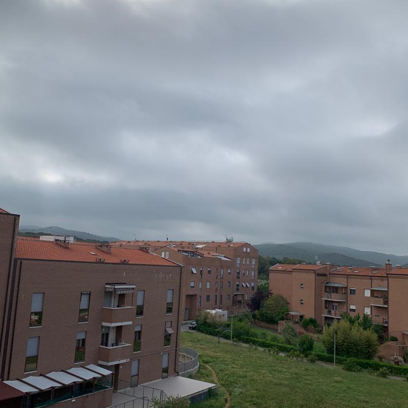 Fotosegnalazione di Livorno