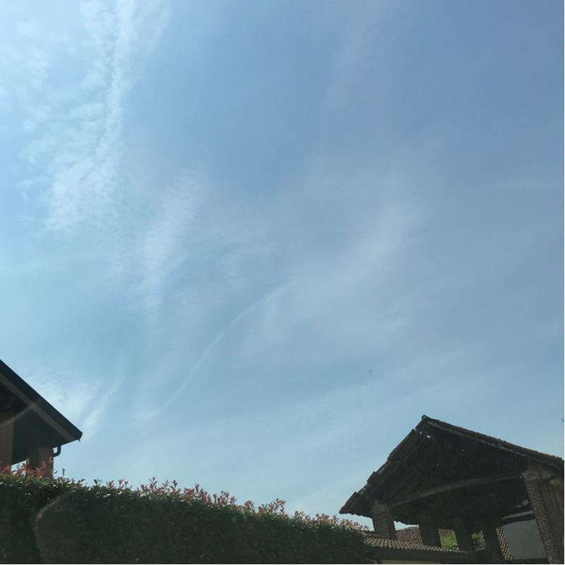 Fotosegnalazione di San giuliano milanese