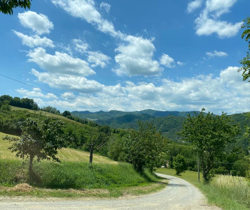 Fotosegnalazione di Castel del rio