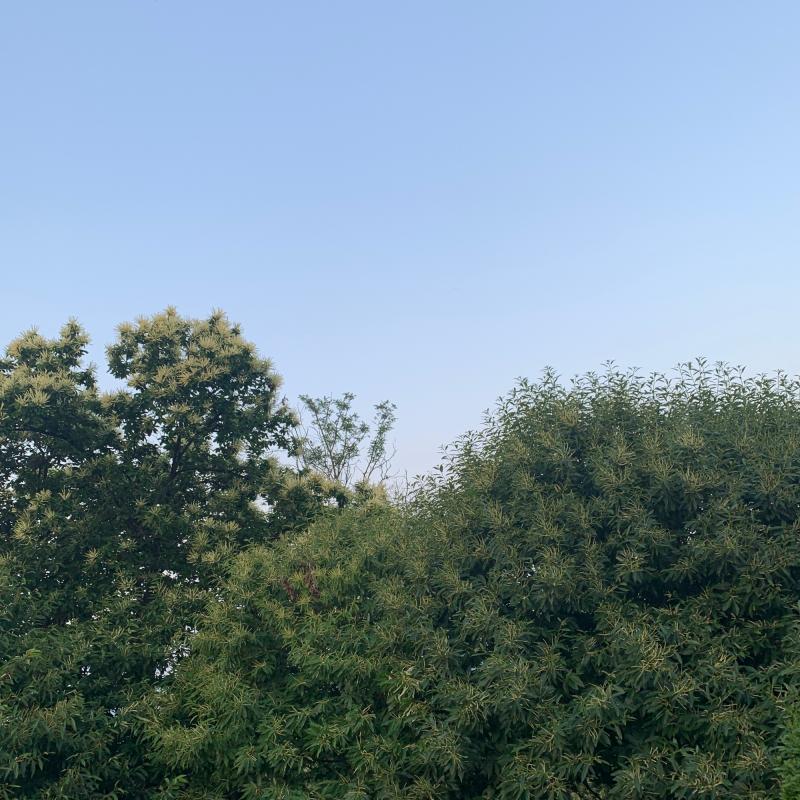 Fotosegnalazione di Oleggio castello