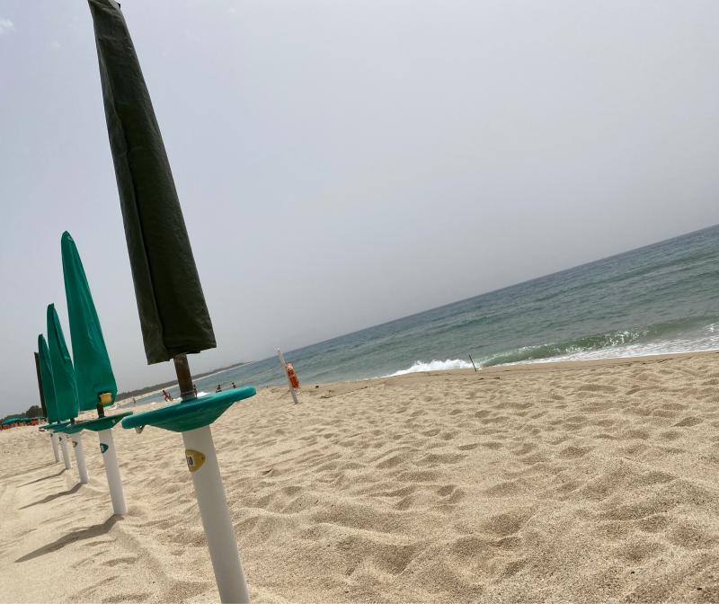 Fotosegnalazione di Nicotera marina