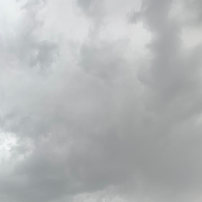 Fotosegnalazione di Roma torre maura