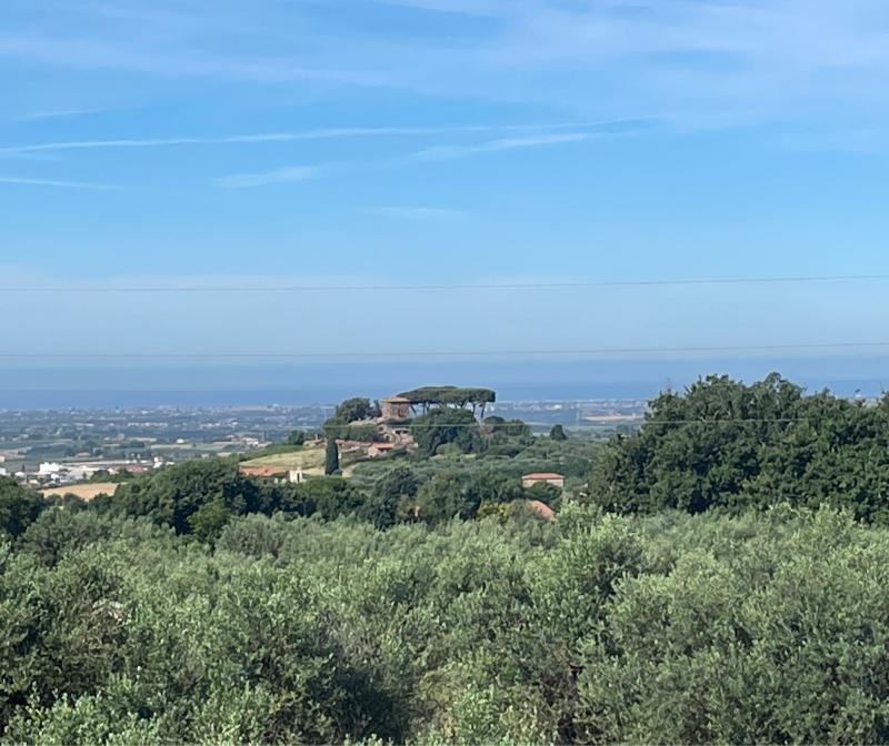 Fotosegnalazione di Genzano di roma