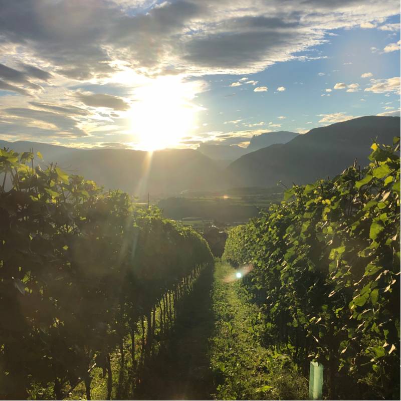Fotosegnalazione di Appiano sulla strada del vino