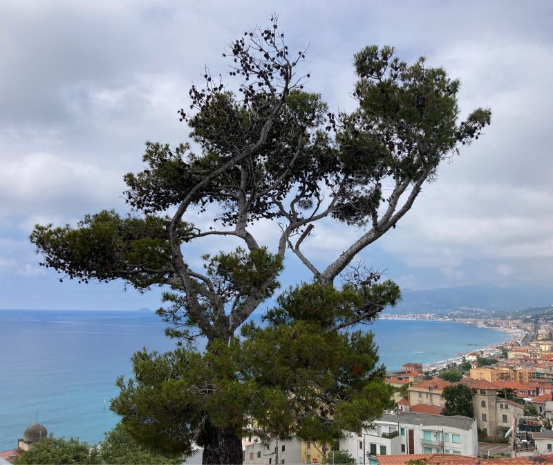 Fotosegnalazione di Borgio verezzi