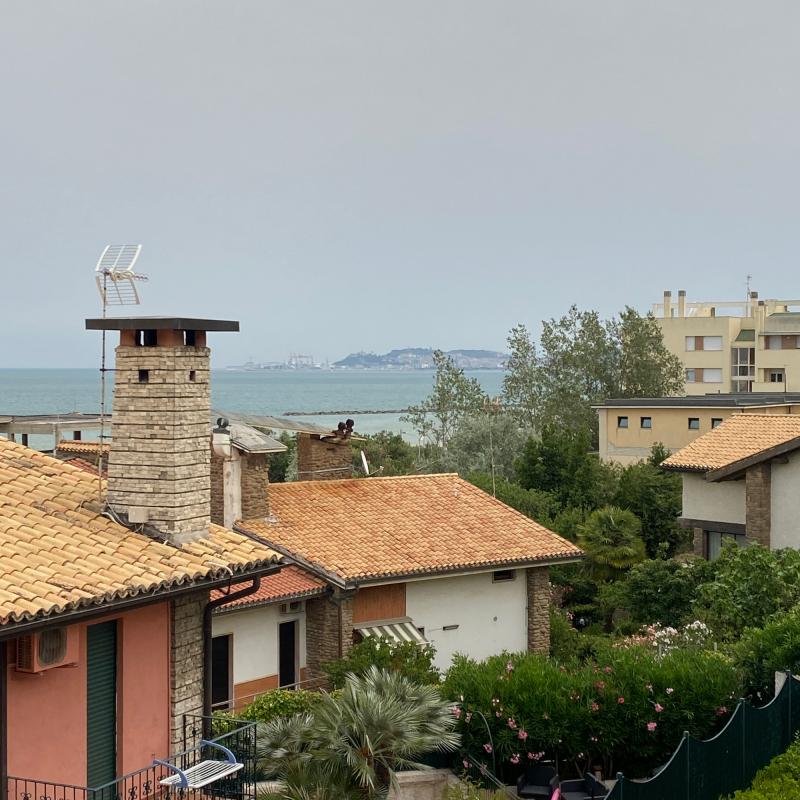 Fotosegnalazione di Palombina