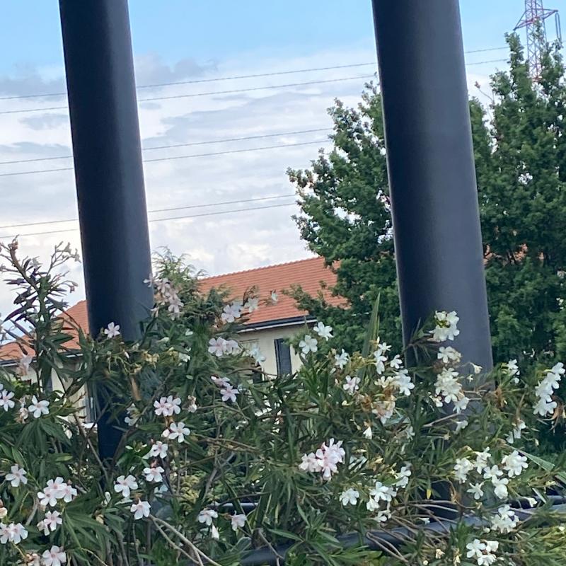 Fotosegnalazione di Cernusco sul naviglio