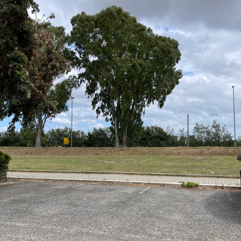 Fotosegnalazione di Fiumicino