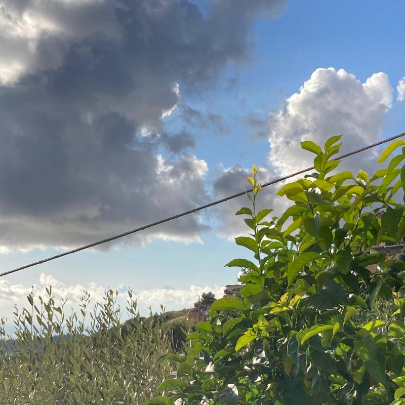 Fotosegnalazione di Prignano cilento