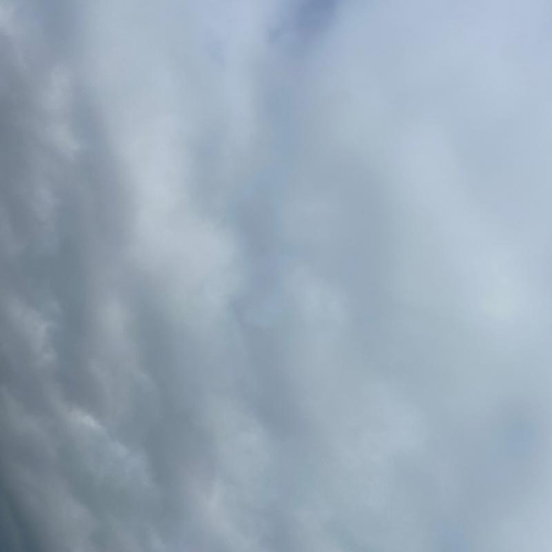 Fotosegnalazione di Santa maria del cedro