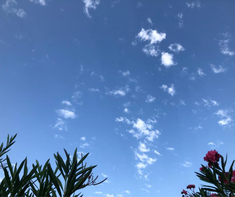 Fotosegnalazione di Lido di spina