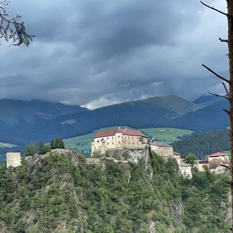 Fotosegnalazione di Naz sciaves