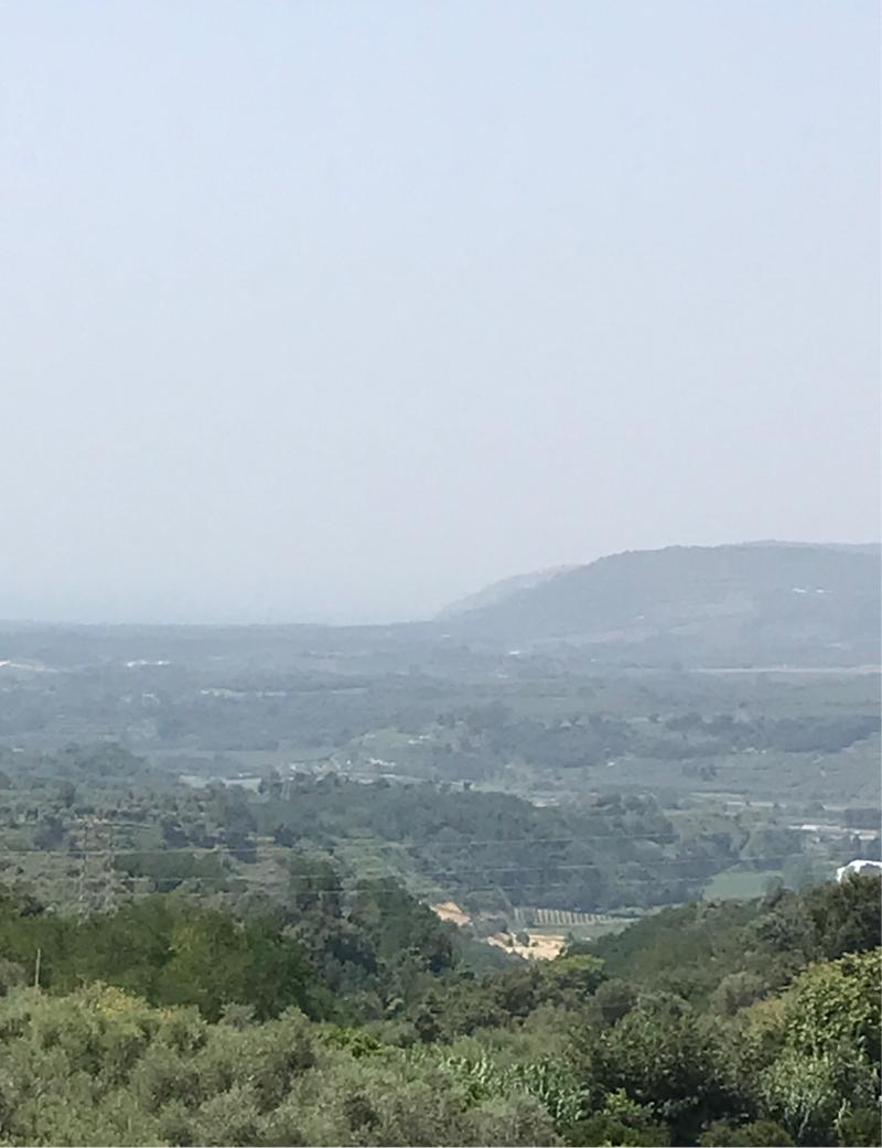 Fotosegnalazione di Laureana di borrello